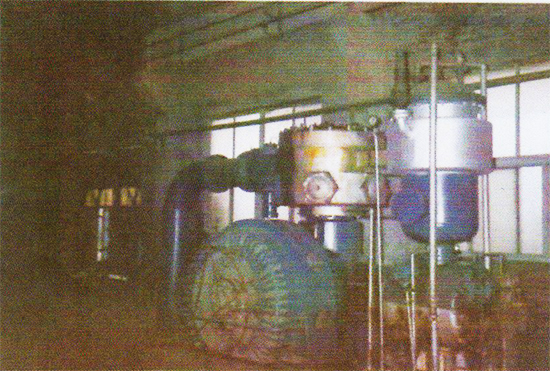 ���g��s���M��������
